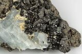 3.1" Lustrous Black Garnets with Blue Calcite - Mexico - #190812-1